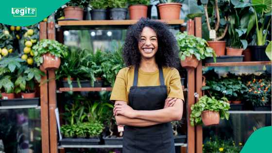 FG launches new funding for creative minds, beneficiaries to get $100,000