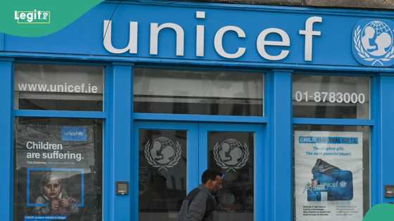 World Toilet Day: What Nigeria needs to do to attain open defecation-free status, UNICEF speaks