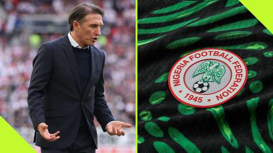 Bruno Labbadia: How appointment of former Leverkusen man as new Super Eagles coach fell through