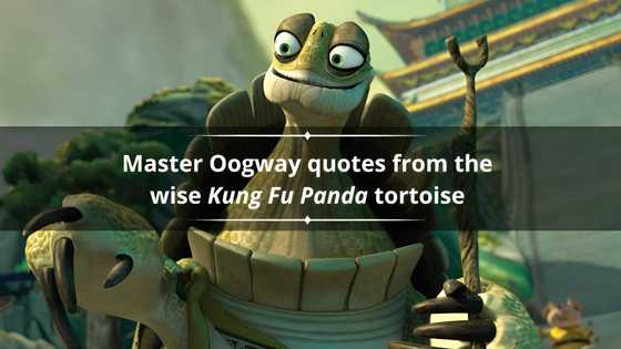 40+ Master Oogway quotes from the wise Kung Fu Panda tortoise