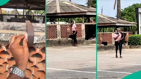 Asherkine hides $100 note on street, lucky lady celebrates as she finds it, people react
