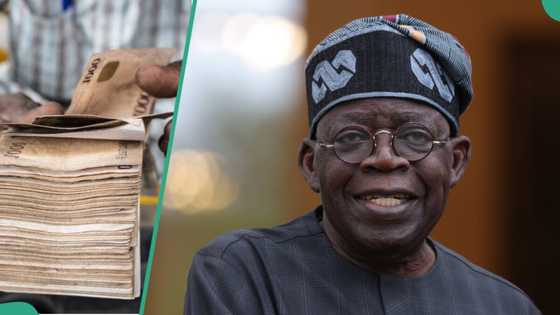 Hardship: Tinubu's govt giving Nigerian youths N500,000 grant each? Fact emerges