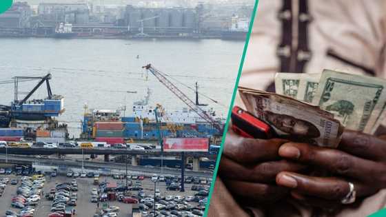 New exchange rate to clear goods at port, airport as naira crashes against US dollar