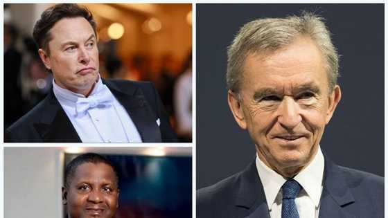 List of World Richest People in 2023: Dangote leads Africa, But Elon loses position to French billionaire