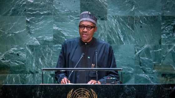 UNGA presidency: What Buhari told the world about Nigeria (photos)
