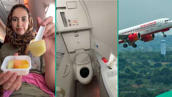 Air India: Lady who took economy flight with husband shares what she noticed about plane’s toilet