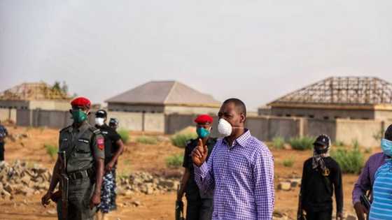 Zulum sets up governor's office outside Government House