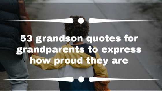 53 grandson quotes for grandparents to express how proud they are