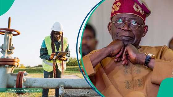 FG grants NNPC, Shell, 4 others licences for gas distribution