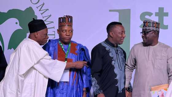 Yadda Sowore Ya Kusa Yin Fada da Hamza Al-Mustafa da Kashim Shettima a Taro