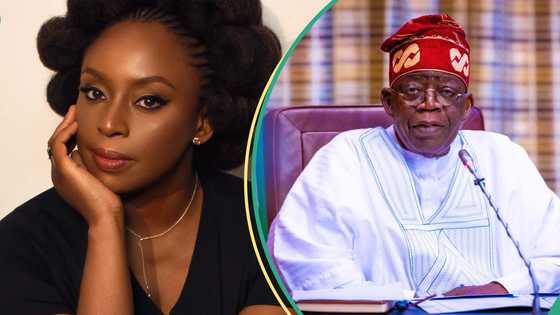 Tinubu sends message to Chimamanda Adichie after tragic loss of son Nkanu Nnamdi
