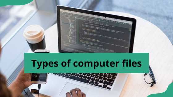 Types of computer files and their uses: A thorough guide