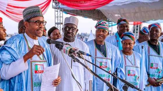 Nadin Ministoci: Yadda Buhari ya saba alkawarin da ya yi a zaben 2019