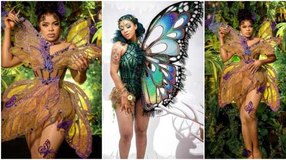 Just like ex-bestie Tonto Dikeh, Bobrisky rocks butterfly look for birthday, calls himself real life Barbie