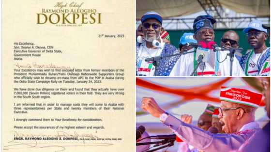 2023 presidency: Tinubu's ally discovers secret letter to Okowa on planned defection of 7m APC members to PDP