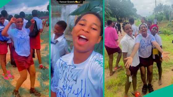 WAEC students celebrate after final exam, wear white shirts and sign out like university graduates