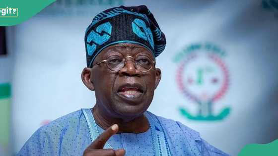 "Tinubu's achievements is beyond expectations," 100 CSOs vow to boycott nationwide protest