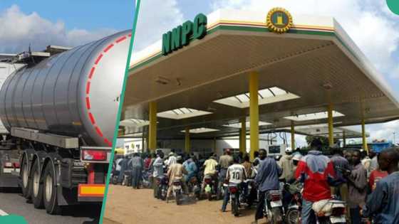 “Learn from Kenya”: Oil marketers fear petrol price may surge above N617 with exchange rate instability
