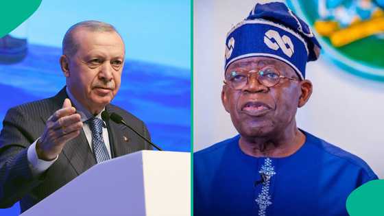 Turkey seeks to be included in Nigeria’s e-visa system
