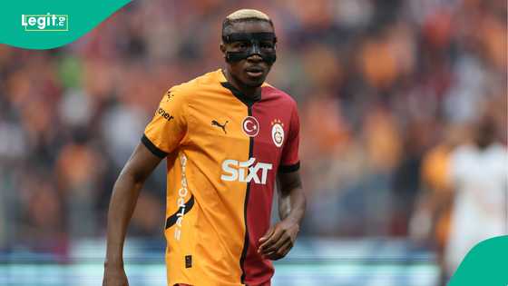 Napoli offer player plus cash for Super Eagles star to replace outgoing Victor Osimhen