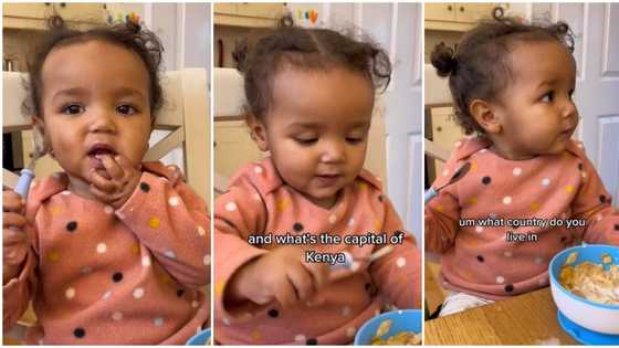 "Very smart": Brilliant 19-month-old toddler correctly tells capital of countries, TikTok video goes viral