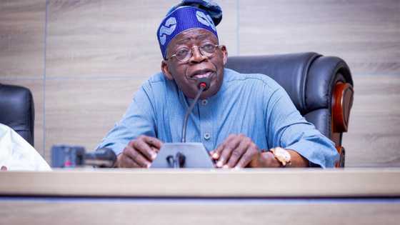2023 presidency: APC speaks on US true position about Tinubu's drug trafficking allegation