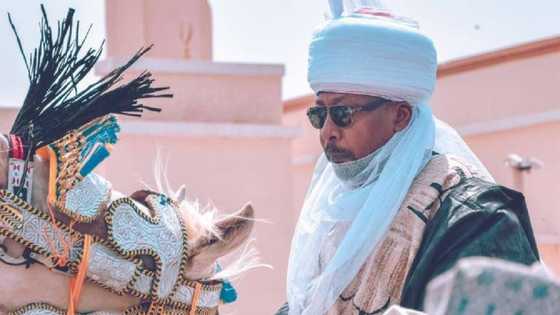 Abin da Ya Jawo Munir Jafaru Ya Ajiye Mukami, Sarkin Zazzau Ya Maye Gurbin Madaki