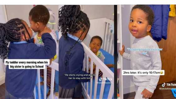 "Like say she dey go another country": Little boy cries as sister gets ready for school