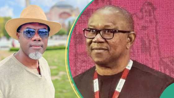 “He is just ranting”: Reno Omokri blasts Peter Obi over conference on Tinubu's certificate saga