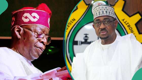 Tinubu asked to suspend NMDPRA boss following Dangote's weighty allegations