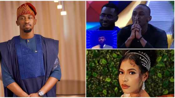 BBNaija: Should we change Biggie's voice to Nini's so you can answer? Ebuka tackles Saga during live show
