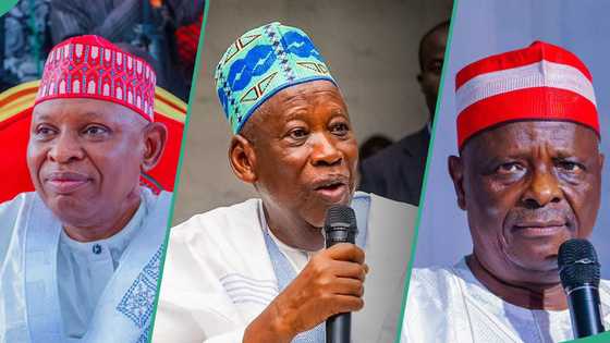 Kwankwaso, Kano governor reportedly plot defection to APC as Ganduje, Barau camps take action