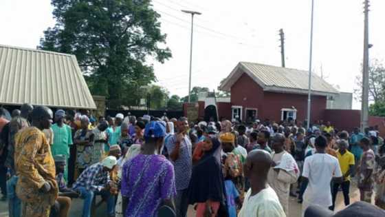 Alaafin: Chaos, panic as bees attack mourners at late monarch's palace