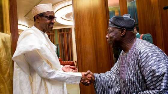 Video emerges as Obasanjo speaks again on Buhari's rumoured death