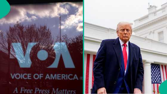 After closing VOA, Trump places over 1000 workers on leave, Nigerians react