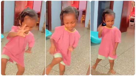 Little girl wows viewers with superb leg dance moves, steals the show in video