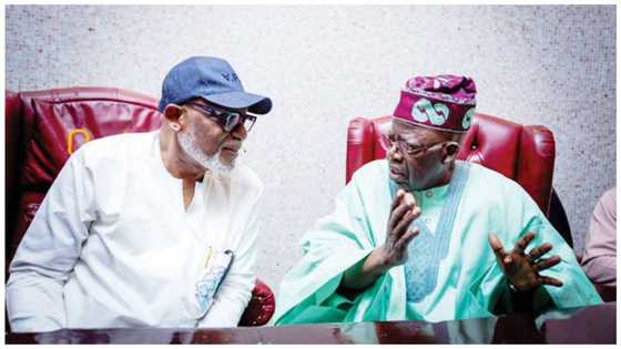 VP Ticket: Real reason why Tinubu is yet to pick running mate, Gov Akeredolu reveals