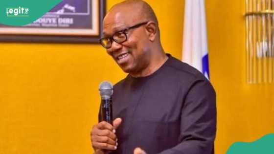 Peter Obi ya bayyana babbar matsalar dimokradiyya a Najeriya