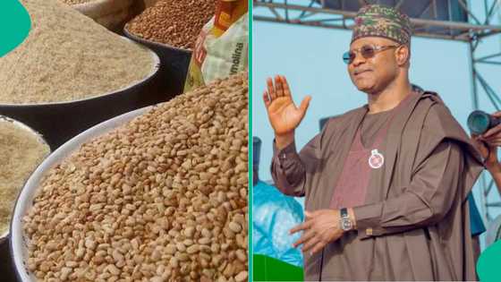 Sauƙi ya fara bayyana, an fara sayen shinkafa, wake da masara a farashi mai araha