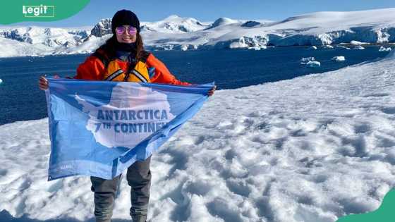 Fun facts about Antarctica for kids: interesting things to know