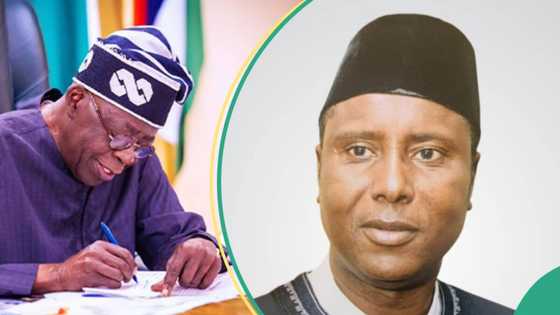 Ana tsaka da ganawa kan matsalar tikitin Musulmi da Musulmi, Tinubu ya nada dan Arewa babban mukami