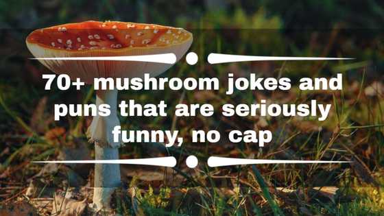 70+ mushroom jokes and puns that are seriously funny, no cap