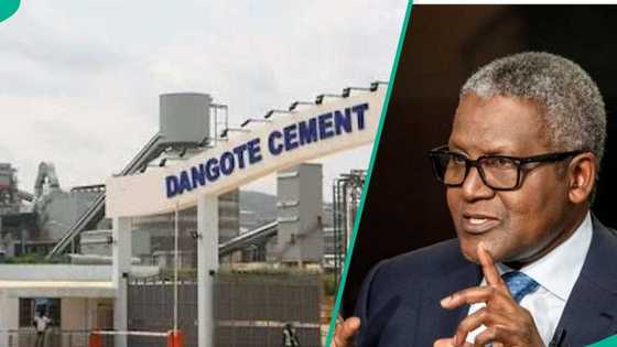 Dangote announces new skills and job opportunities for Nigerian youths