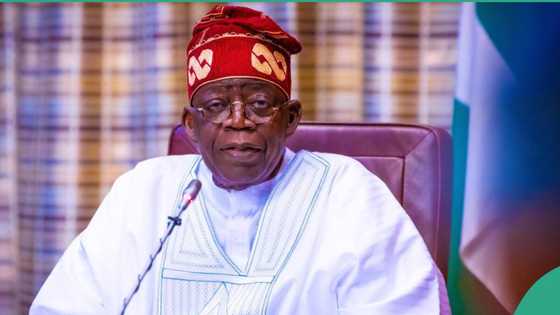 Breaking: Supreme Court asked to sack Tinubu as fresh legal battle begins