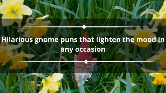 120+ hilarious gnome puns that lighten the mood in any occasion