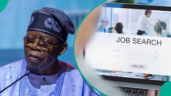 FG temporarily halts recruitment portal, announces new date of resumption