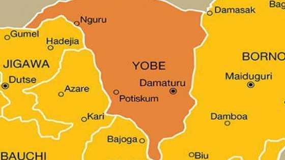 Mayakan Boko Haram Sun Kai Kazamin Hari a Jihar Yobe, Sun Murkushe Mutum 9