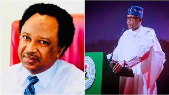 Powerful PDP senator reveals how Buhari changed Naira's face in 1984, gives unthinkable reason