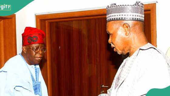 “Regrouping of those who lost": Masari throws Jibe at El-Rufai, others over alliance against Tinubu