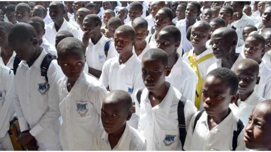 Federal government increases tuition fees of unity schools